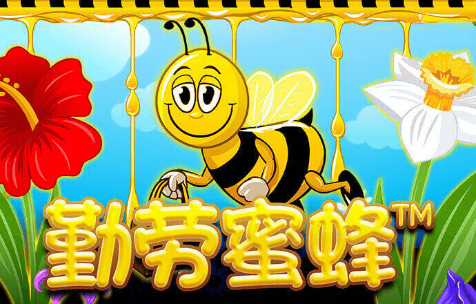 b体育手机版官网最新版本下载